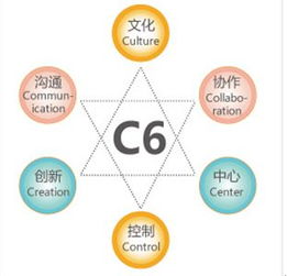 金和C6六脈神劍 助力企業(yè)跨越管理黑洞，實(shí)現(xiàn)高效運(yùn)營(yíng)